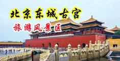 插Bxxx网中国北京-东城古宫旅游风景区