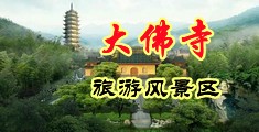 大鸡巴操烂嫩穴在线观看中国浙江-新昌大佛寺旅游风景区